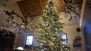 15259280 406500159681059 7166554767313869622 o